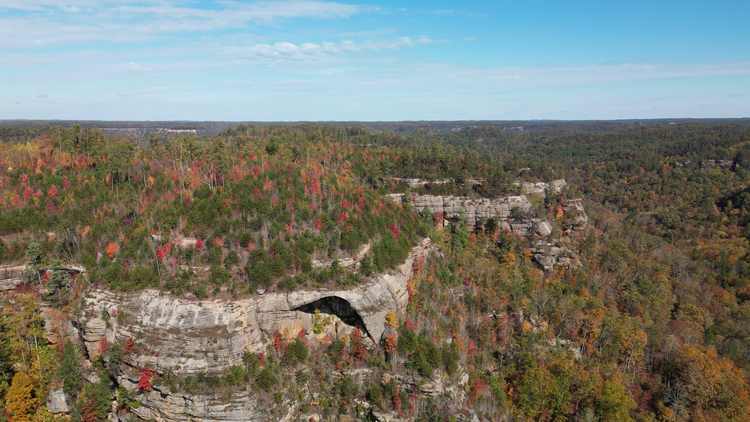 Explore the Red River Gorge